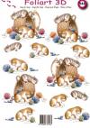 http://www.linnenkarton.nl/cms/_bestanden/productfoto/a544-poesjes-1th.jpg