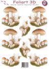 582 paddenstoel