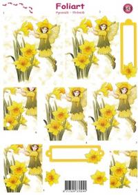 a643-narcissen-1n.jpg