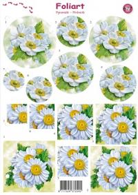 a677-margrieten-1n.jpg