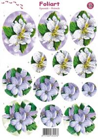 a680-lila-bloemen-1n.jpg