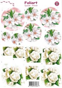 a686-witte-bloemen-1n.jpg