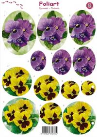 a693-viooltjes-1n.jpg