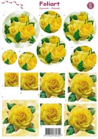 a695-gele-rozen-1n.jpg