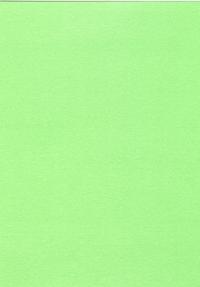 aparelmoer-kiwi-1n.jpg
