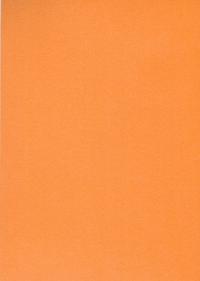 aparelmoer-oranje-1n.jpg