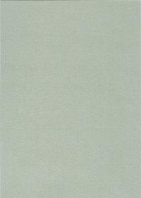 aparelmoer-zilver-1n.jpg